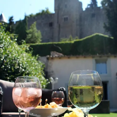 בית נופש Le Petit Chai Niche Sous La Cite, *