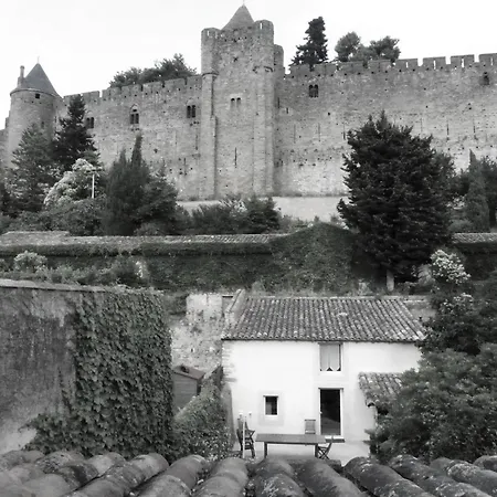 Le Petit Chai Niche Sous La Cite, *