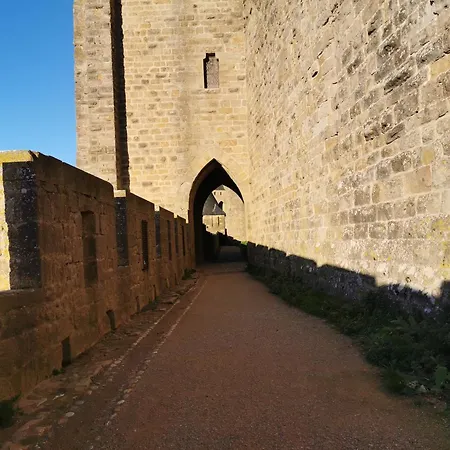 Le Petit Chai Niche Sous La Cite, *